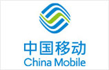 中国移动调研案例