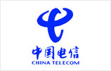 中国电信调研案例