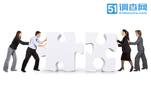 市场调查51调查网